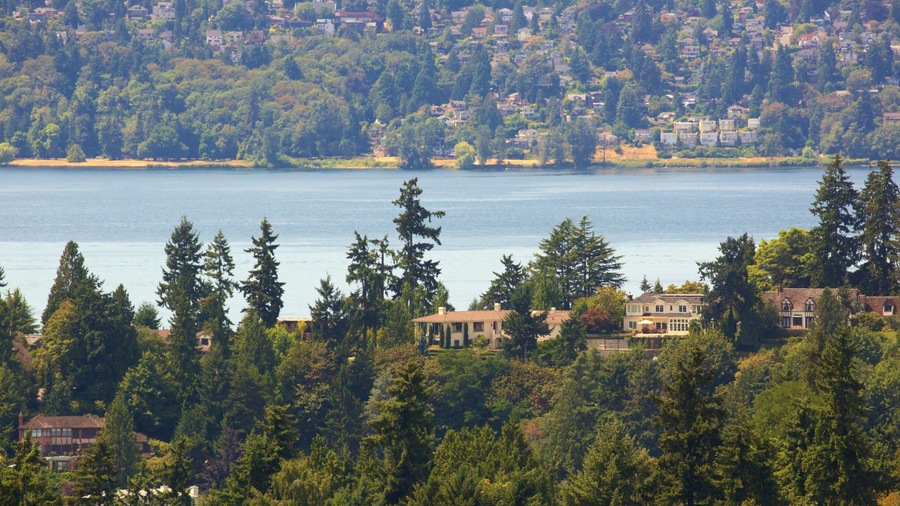 Bellevue showing a lake or waterhole, forest scenes and a house