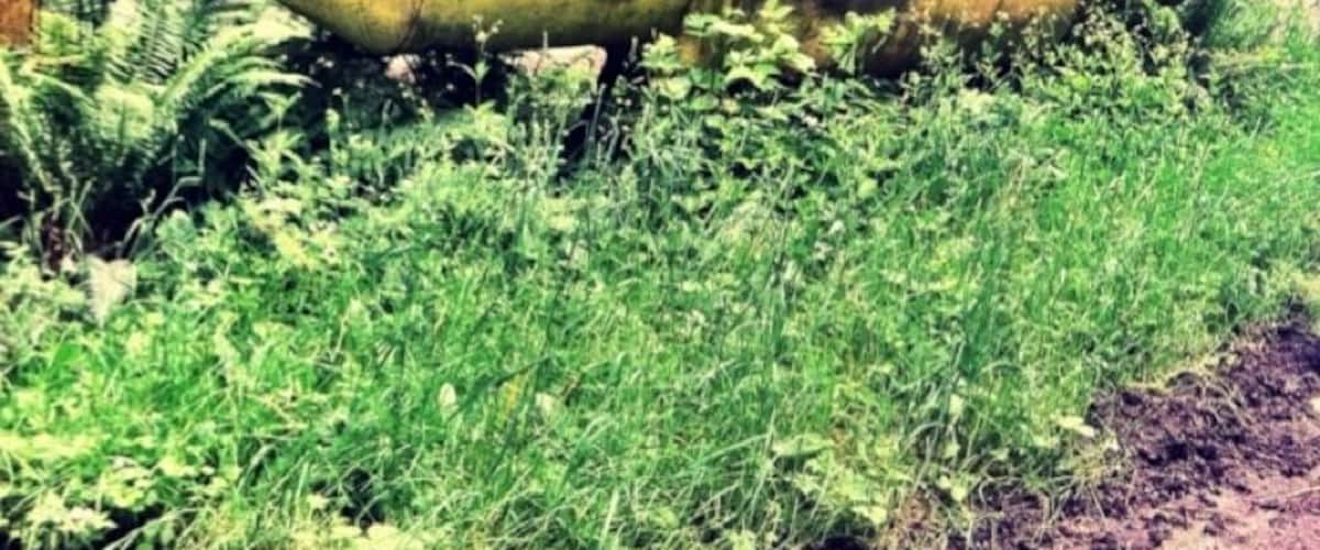 Deep in the heart of Washington State's SE King County lies the original Yellow Submarine.  Encountered on a long bike ride thru the area's gorgeous country roads.