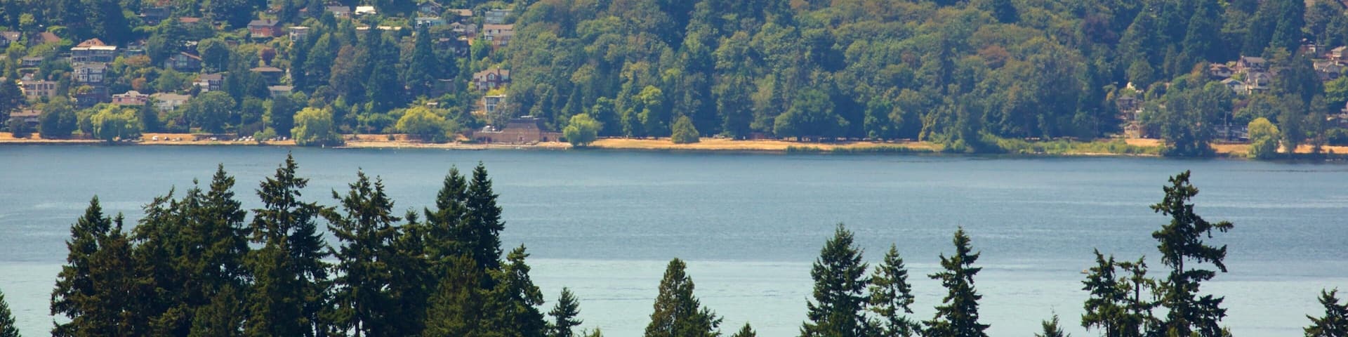 Bellevue featuring a high rise building, a lake or waterhole and a park