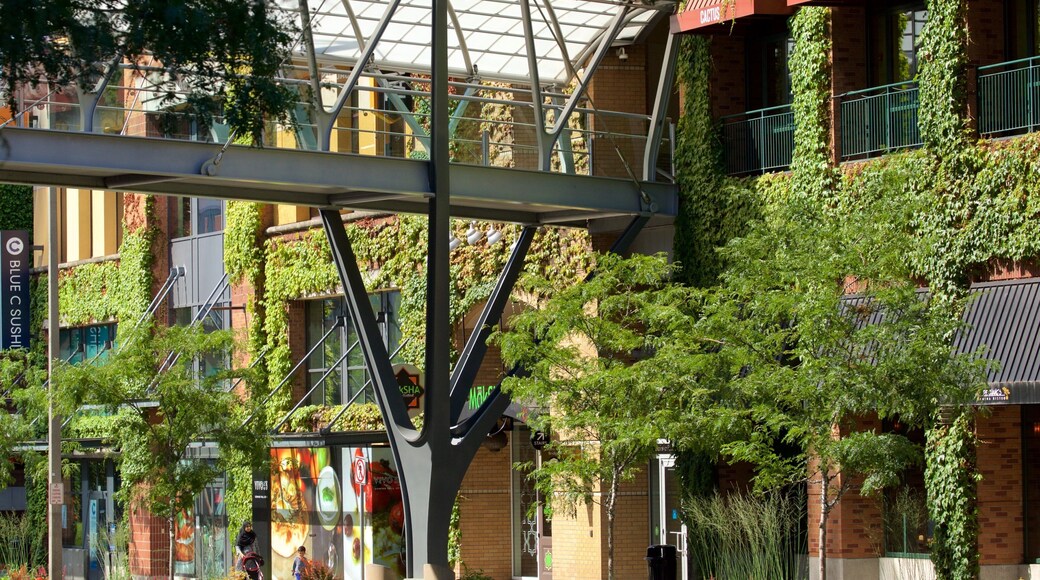 Bellevue featuring street scenes and a bridge