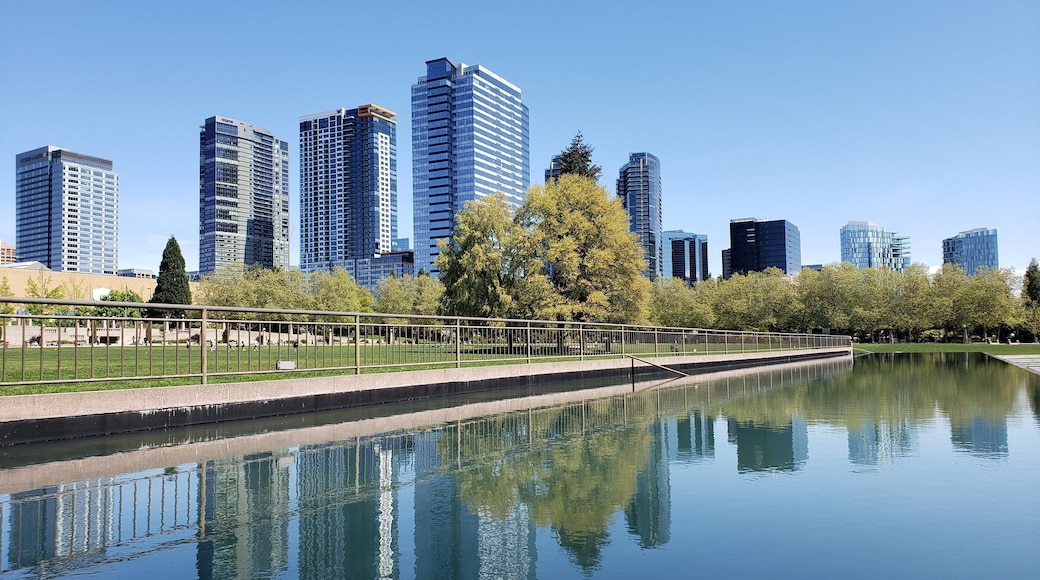 My first visit to Expedia HQ. The reflections of downtown Bellevue were stunning at the city park
#LifeAtExpedia