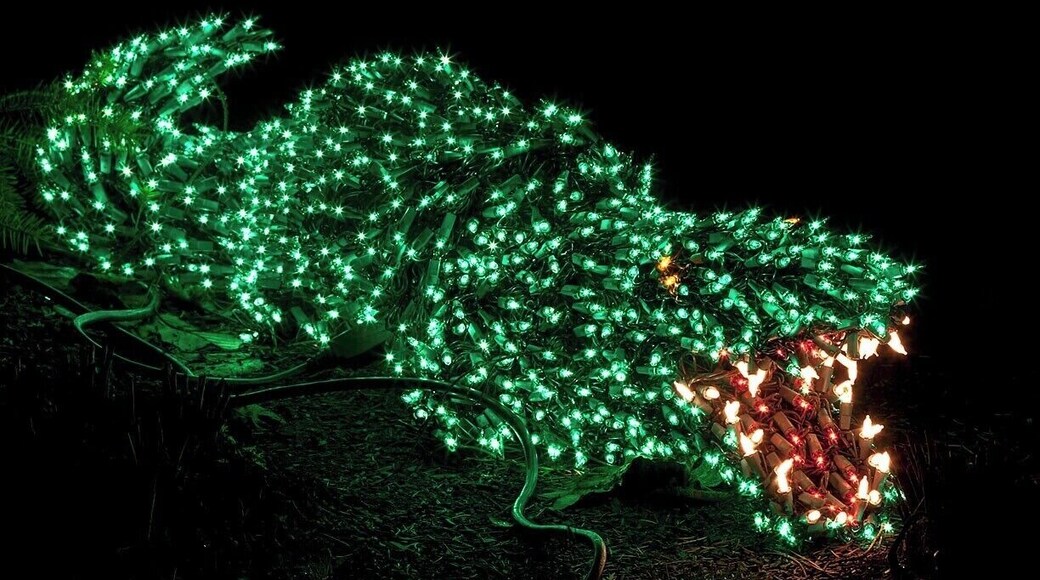 Alligator arrangement from Garden d'Lights. A number of critters are "hidden" among the flowers - great fun for the kiddies to hunt them out.
Show runs now through the end of the year, 5-10pm nightly. Get your $5 tickets ahead of time at http://www.gardendlights.org/.