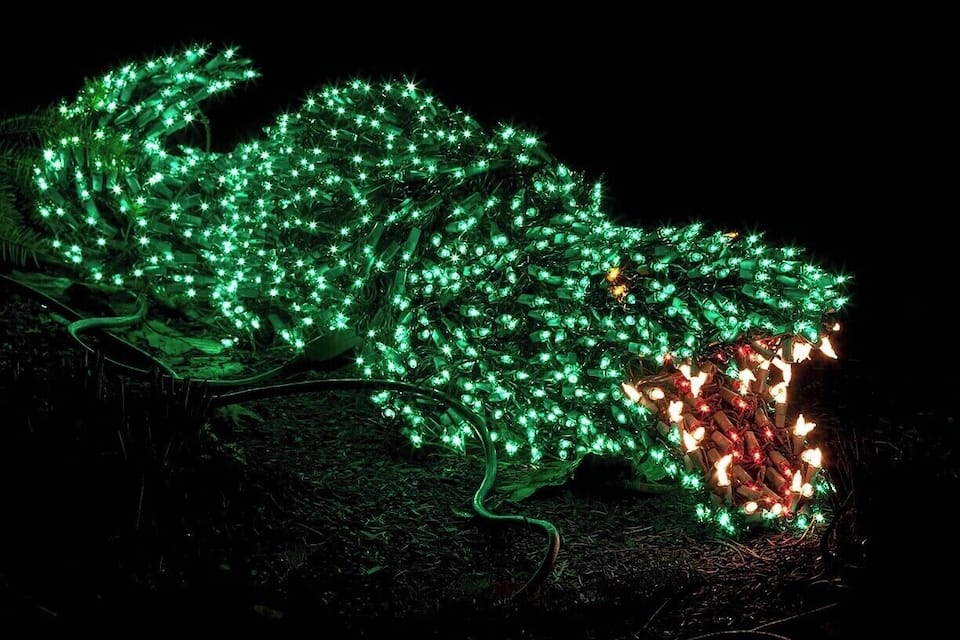 A string of green Christmas lights laid out on the ground.