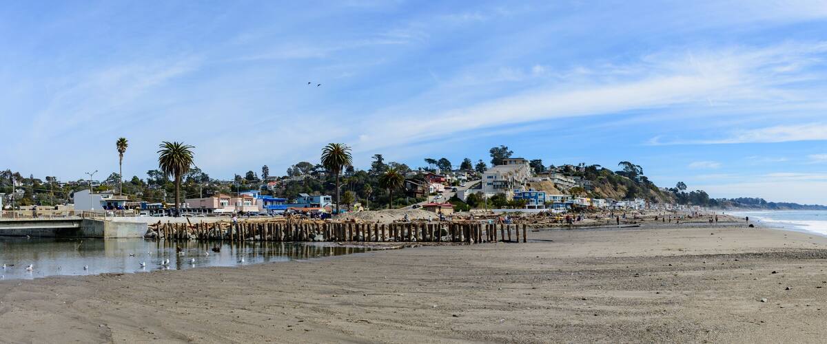 A beach with a pier, houses, and palm trees.