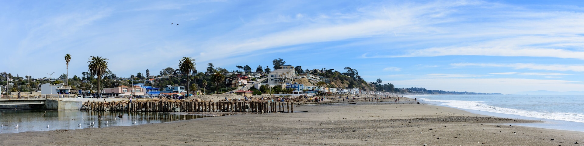 A beach with a pier, houses, and palm trees.