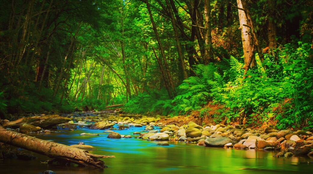 Great place for a weekend hike or bike ride. The view from the river is amazing. Farther away there is a trail that gets you to 5 waterfalls.