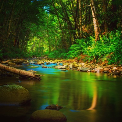 Great place for a weekend hike or bike ride. The view from the river is amazing. Farther away there is a trail that gets you to 5 waterfalls.