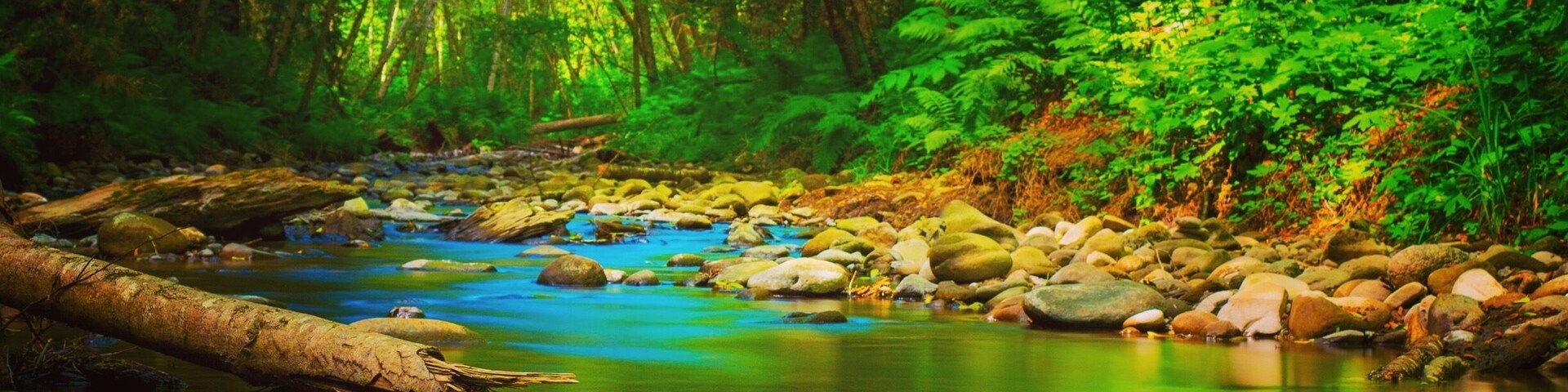 Great place for a weekend hike or bike ride. The view from the river is amazing. Farther away there is a trail that gets you to 5 waterfalls.