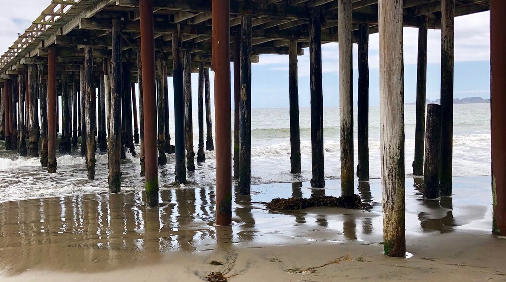 This is the old pier that leads to the concrete ship. The ship continues to fall apart and is now a home for sea creatures and sea birds. Prior to 2000 you could still walk the whole pier and climb on the concrete ship.