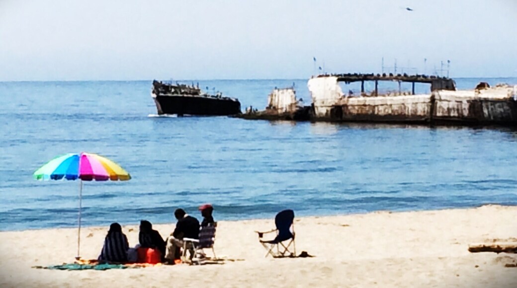 Gorgeous beach off of Hwy 1, in Aptos. Set up for campers, primarily, but also has day use parking.
There's a lovely shop inside the park with a touch tank and a lot of historical and ecological information about Monterey Bay.
A giant husk of a concrete ship, the SS Palo Alto, rests at the end of a fishing pier. It was built as a tanker at the end of WW1.
It's a ship...made out of concrete. Just let that soak in.