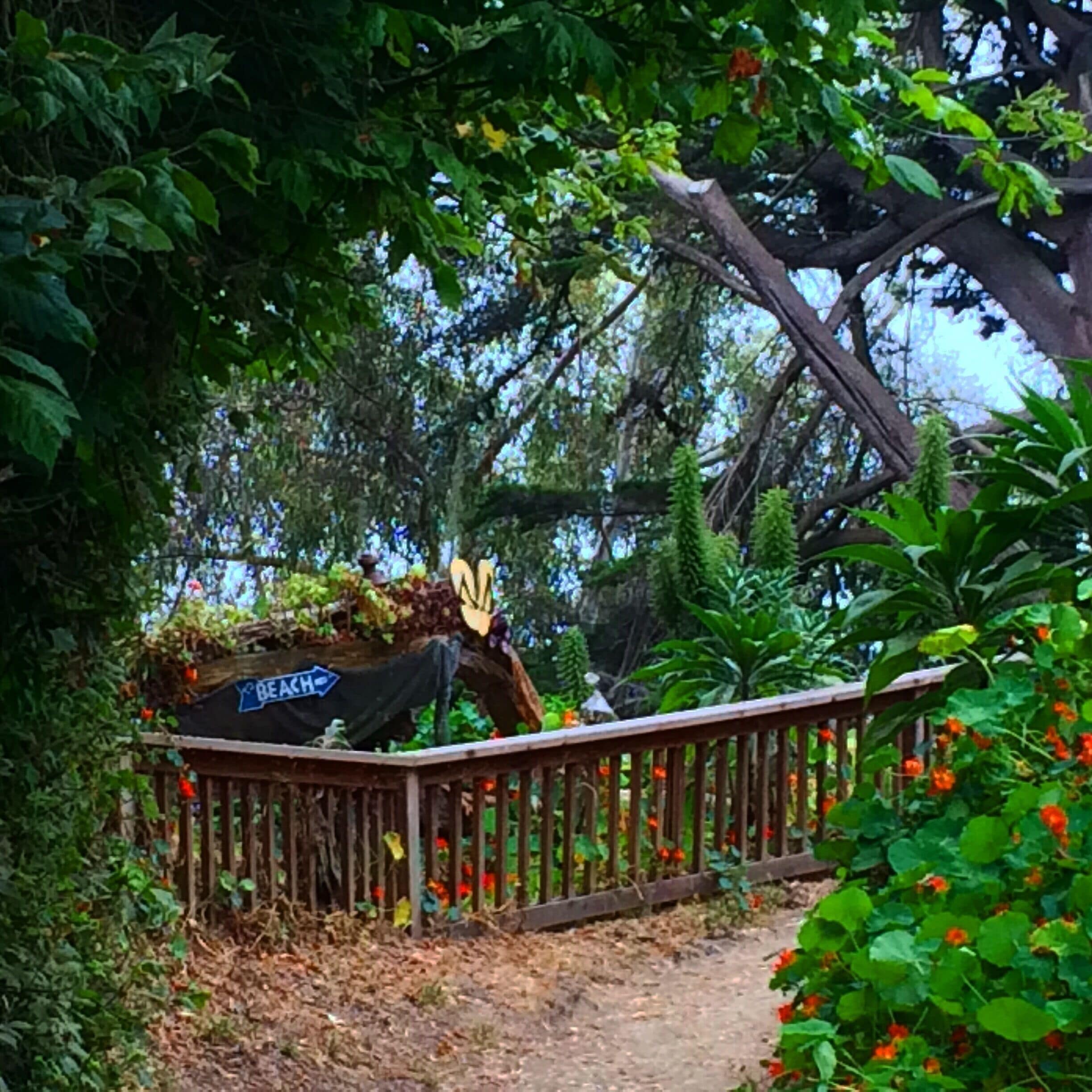 Visit Aptos: Best of Aptos Tourism | Expedia Travel Guide