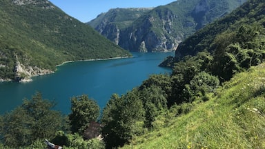 Montenegro đČđȘ