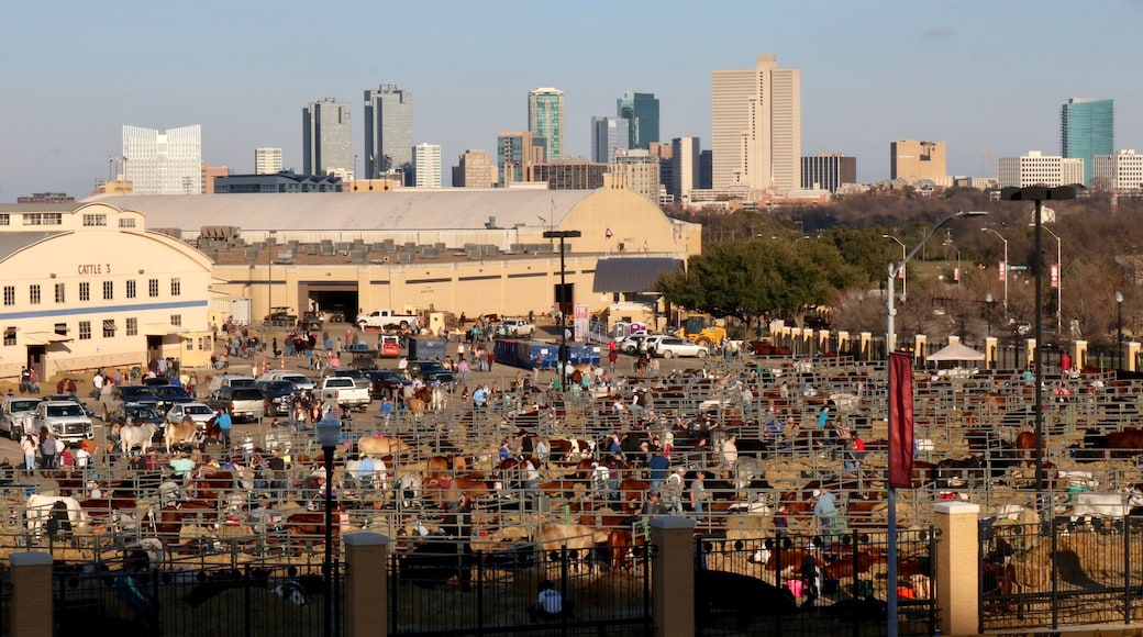 Bustling grounds of the stock show and rodeo in Fort Worth with the city's skyline in the background