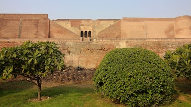 garden at bathinda fort