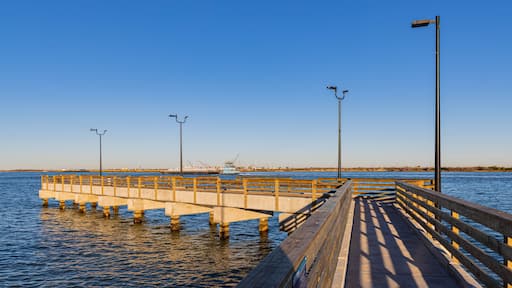 アランサス パス