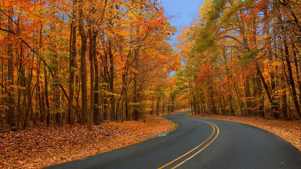 A winding road through a forest with autumn foliage.