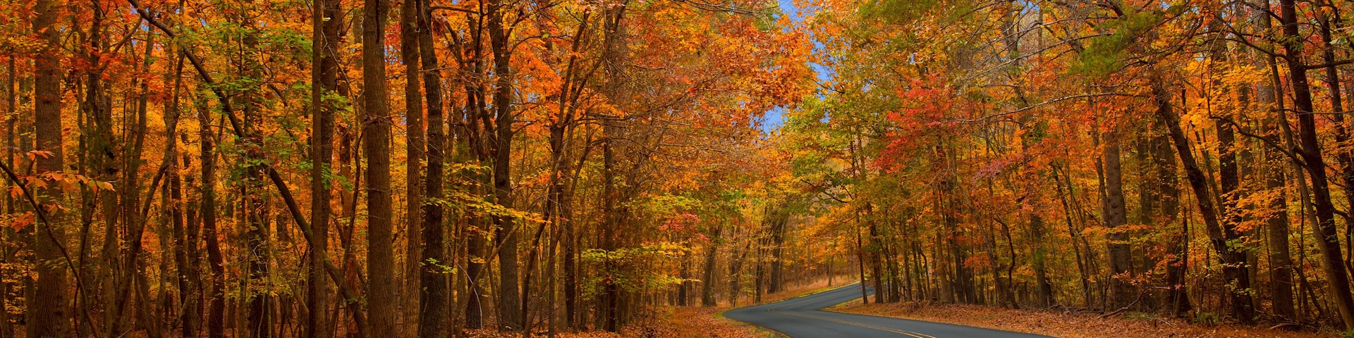 A winding road through a forest with autumn foliage.