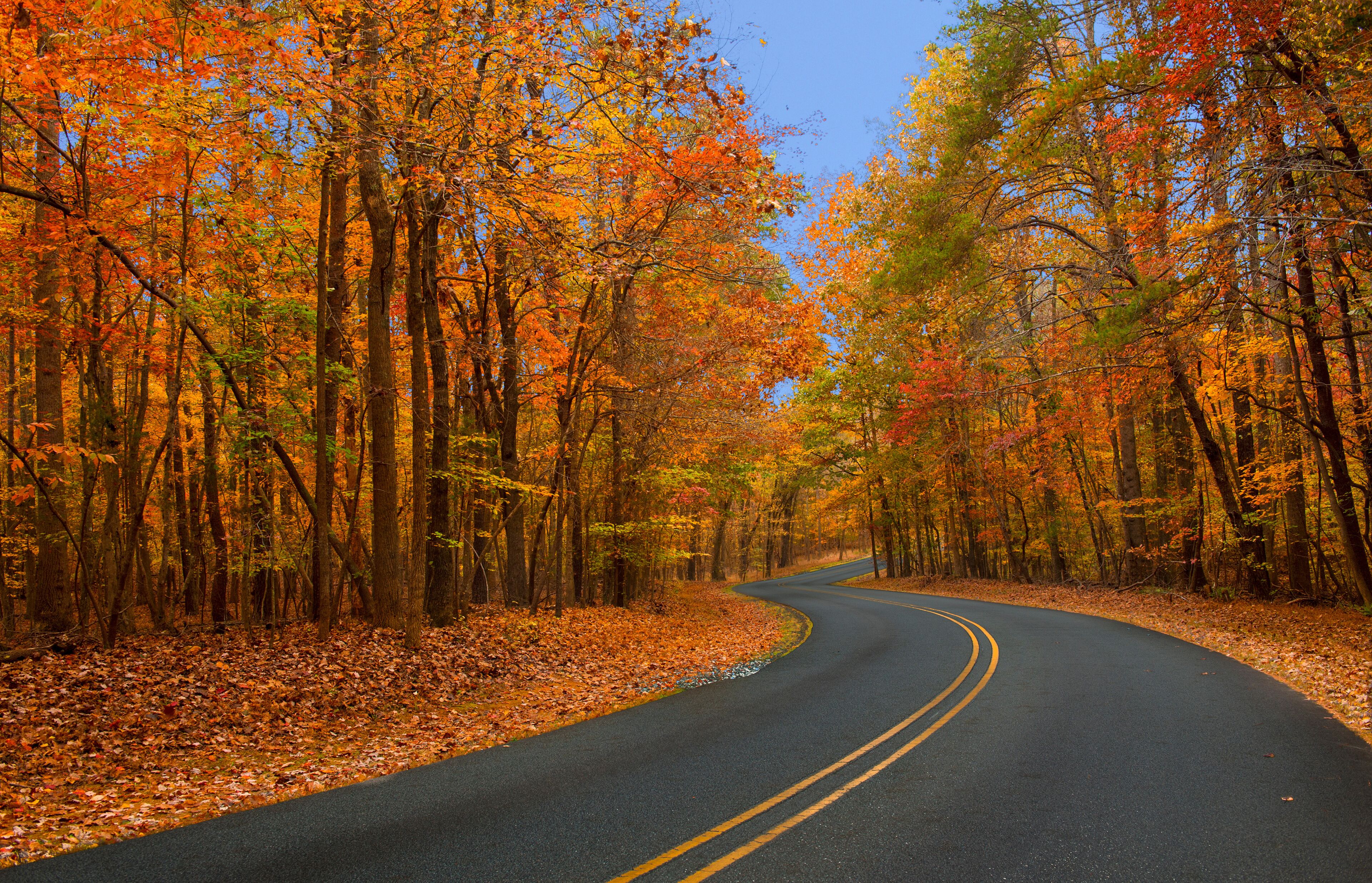 A winding road through a forest with autumn foliage.