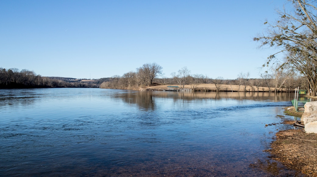 Confluence White River & Norfork Tailwater