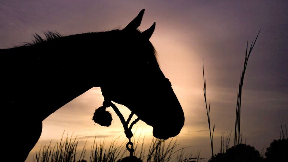 How lucky I am to have something that makes saying goodbye so hard.