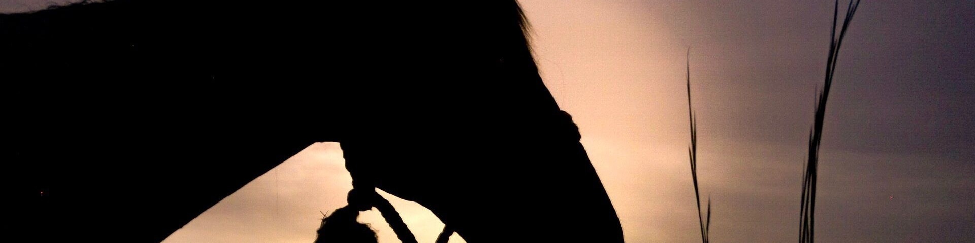 How lucky I am to have something that makes saying goodbye so hard.