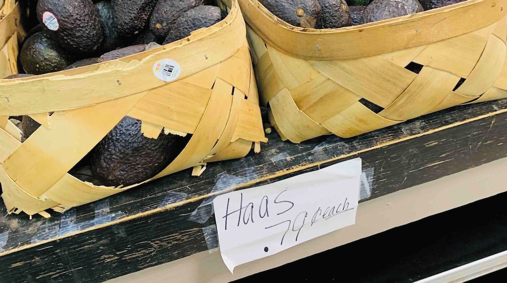 Haas at local farmers market.