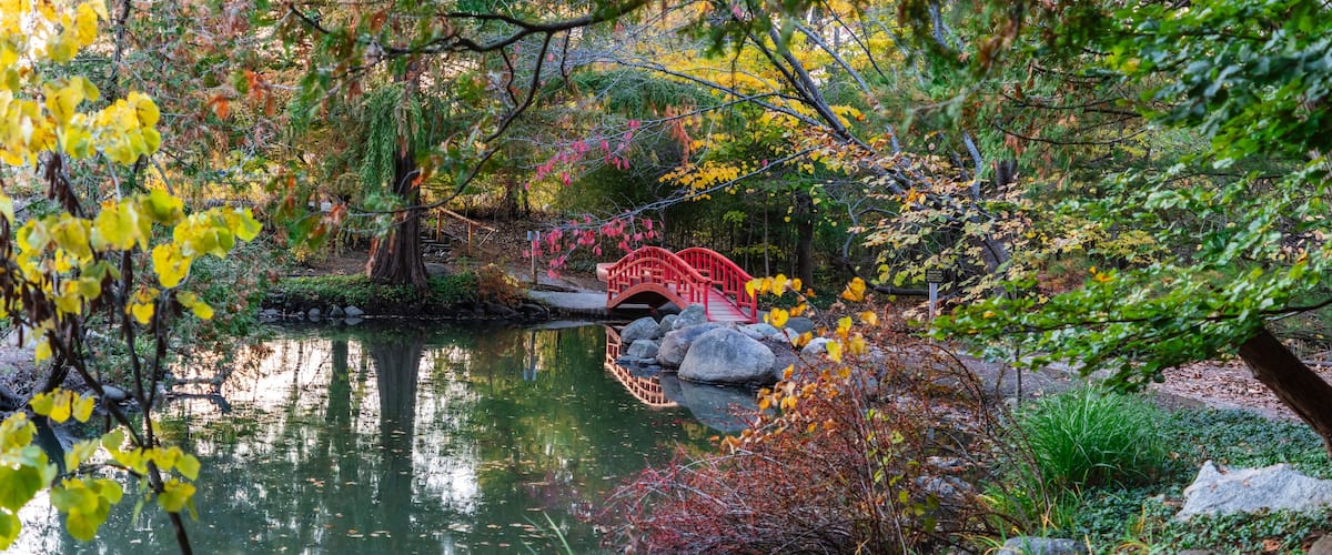 Un puente rojo sobre un estanque rodeado de follaje otoñal.