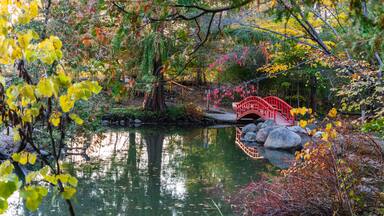 Uma ponte vermelha sobre um lago rodeado por folhagem outonal.