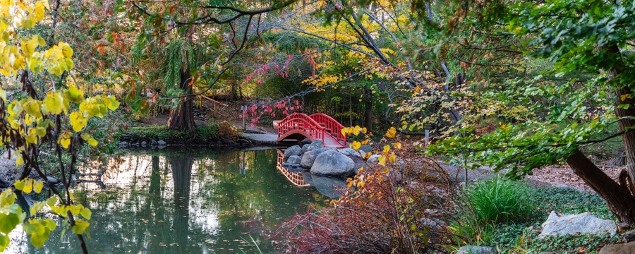Aerial view of a red arched bridge spanning a tranquil pond in a lush park with autumn foliage and surrounding trees in Troy, Michigan, United States.