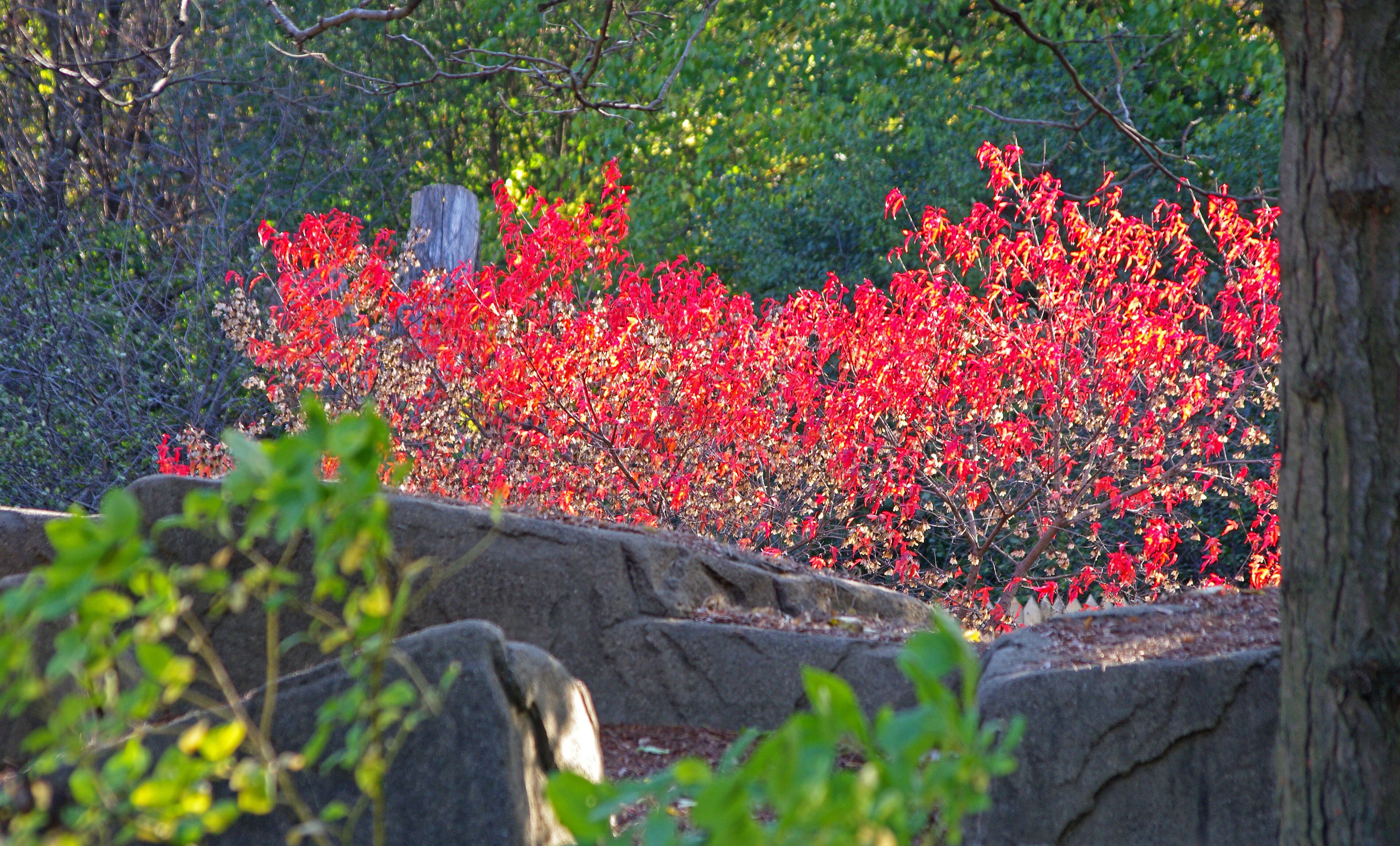 Just loved the blast of color.