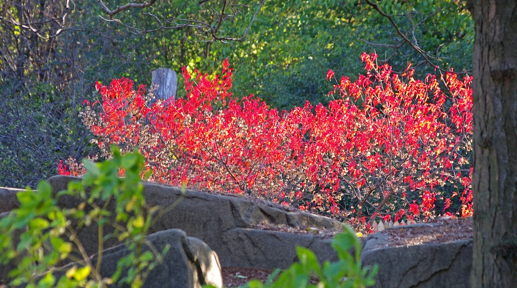 Just loved the blast of color.