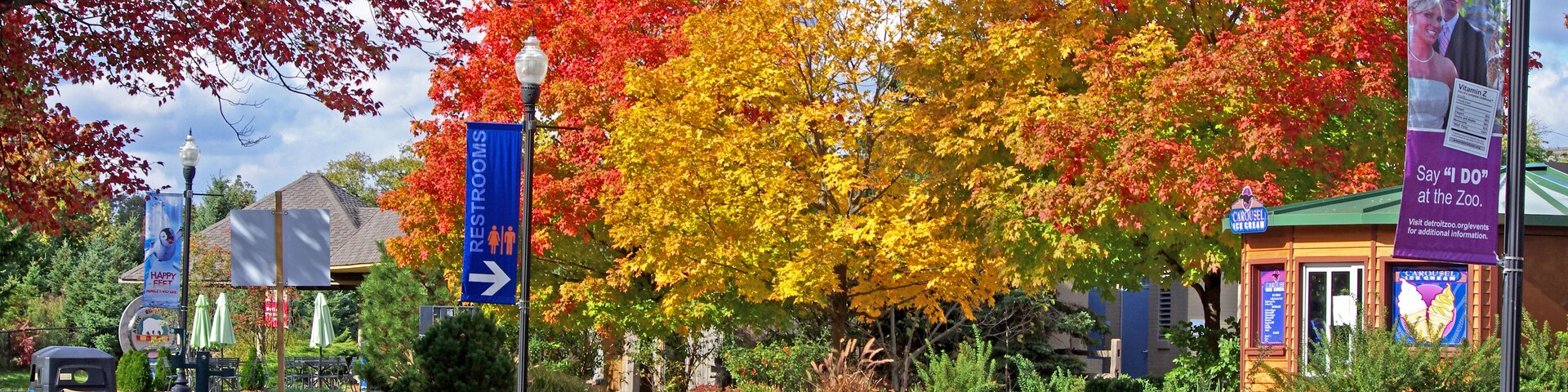 A beautiful fall day at the zoo. The Detroit Zoo has AZA Accreditation.