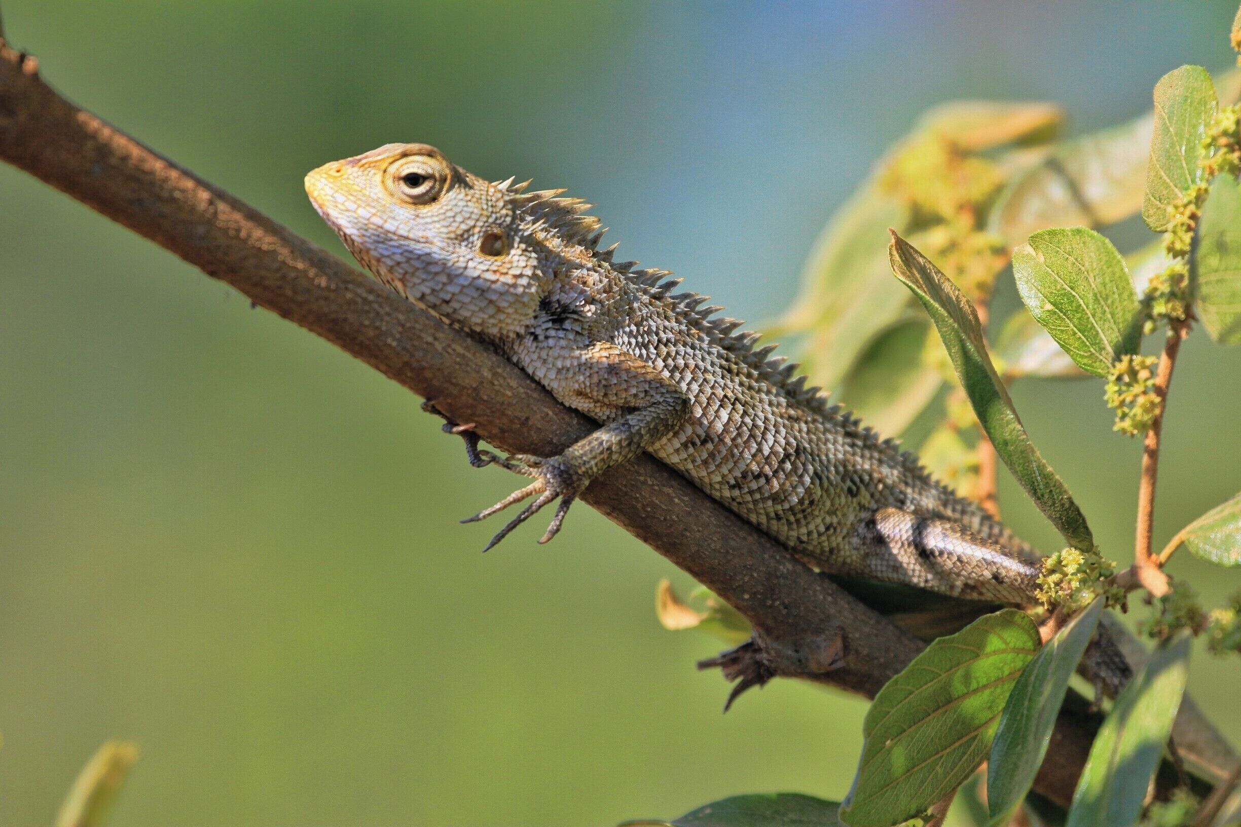 The was a the side of the road