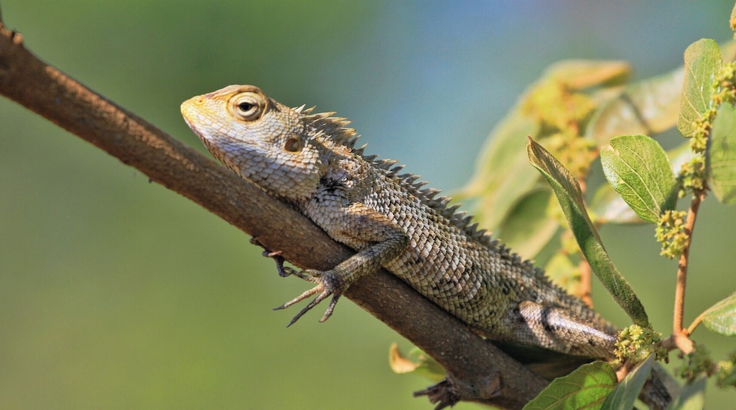 The was a the side of the road