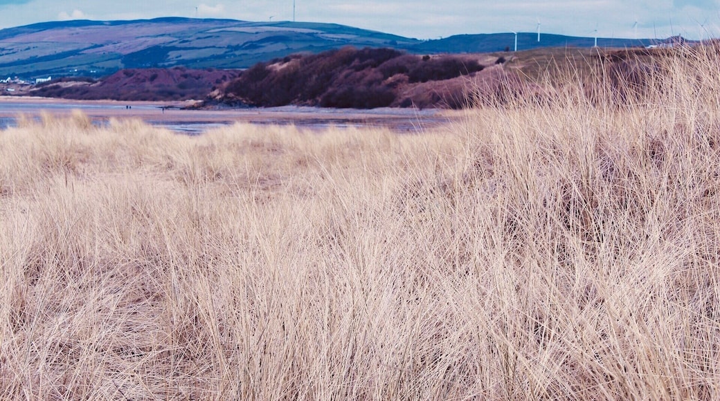 SandScale haws National trust beach 🏖