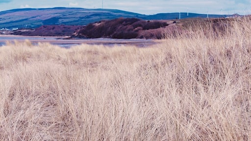 SandScale haws National trust beach ๐