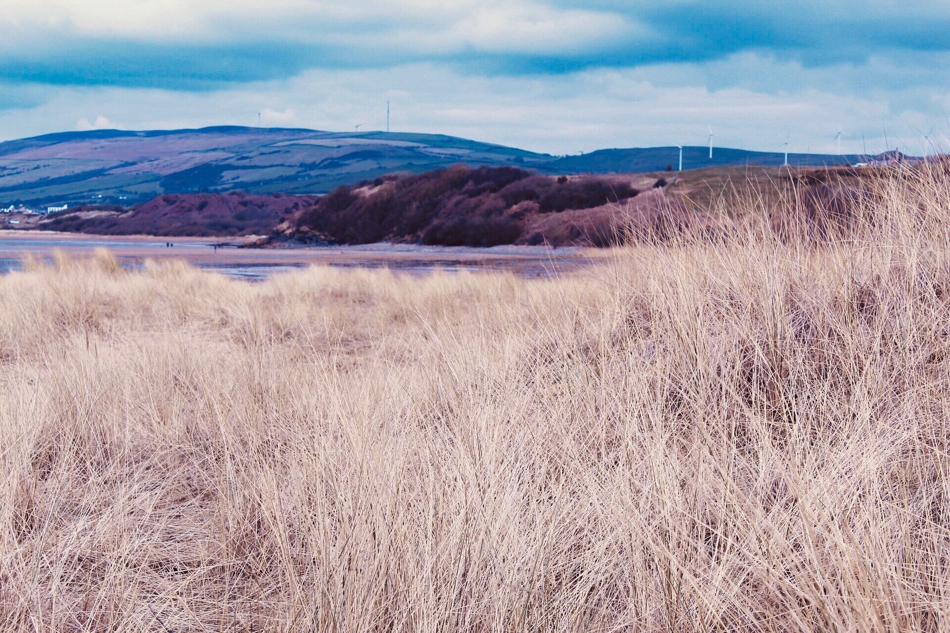 A landscape with dry grass, a river, hills, and wind turbines in the distance.
