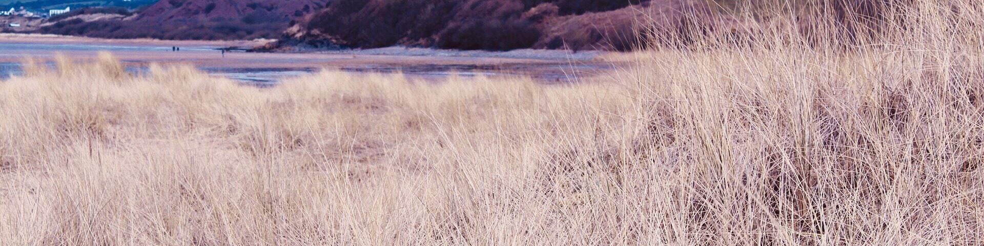A landscape with dry grass, a river, hills, and wind turbines in the distance.