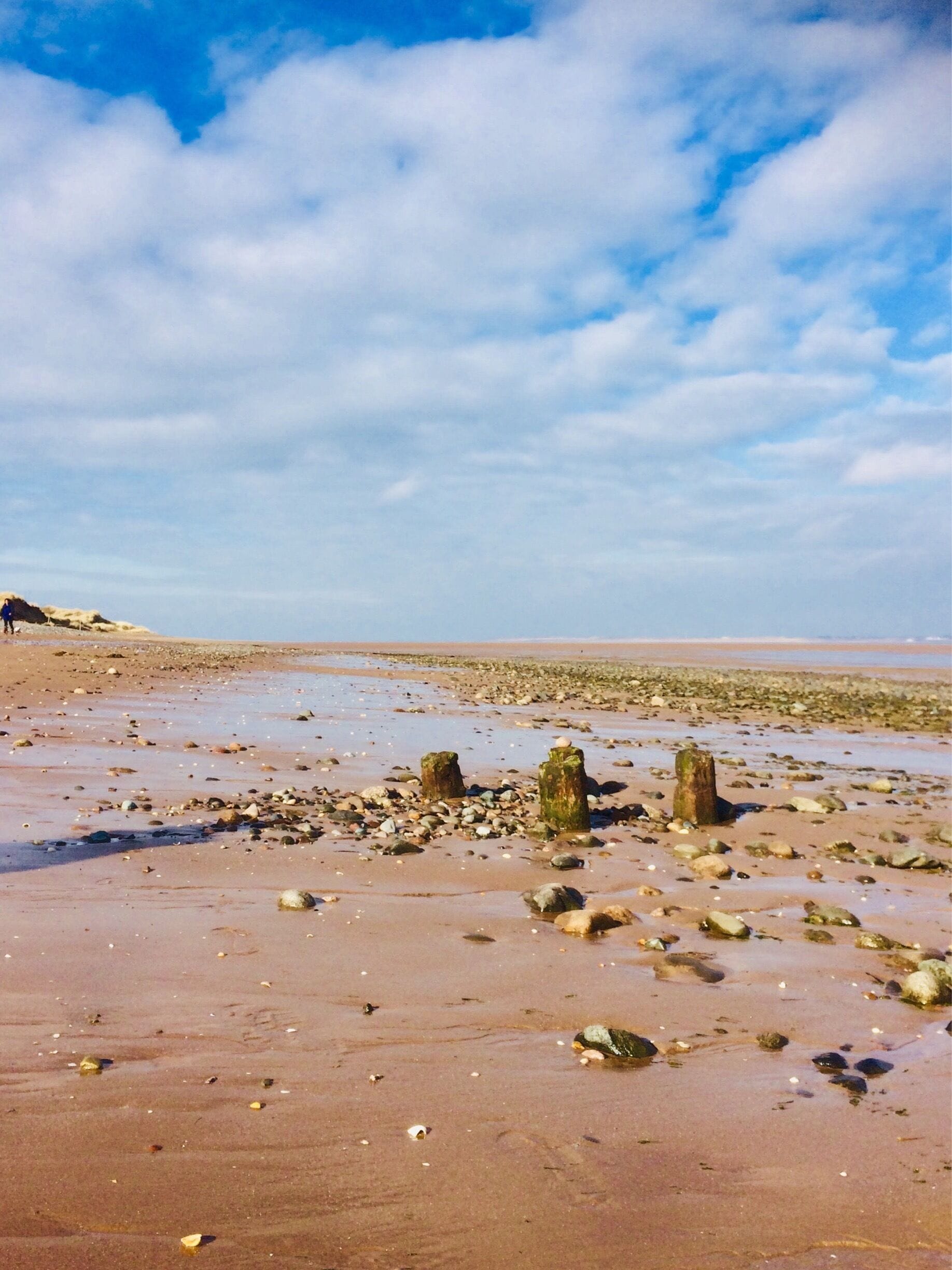 This pic was taken on the 5th March 2018 , with Snow not far away , can’t believe the sun was shining so strong 