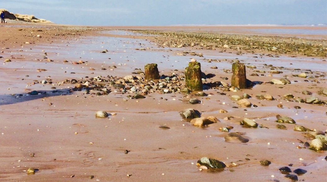 This pic was taken on the 5th March 2018 , with Snow not far away , can’t believe the sun was shining so strong