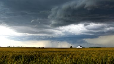A wheat field with a storm cloud overhead and a silo in the distance.