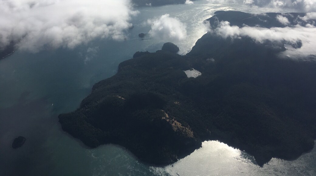Up in the seaplane on the way to Semiahmoo! #lifeatexpedia