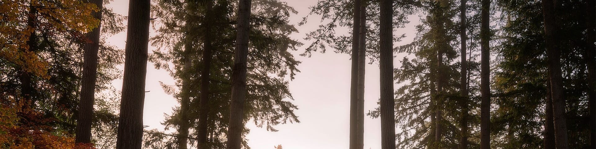 Caught some amazing light on my drive past the golf course, this place is GOURGEOUS!!! #GreatOutdoors