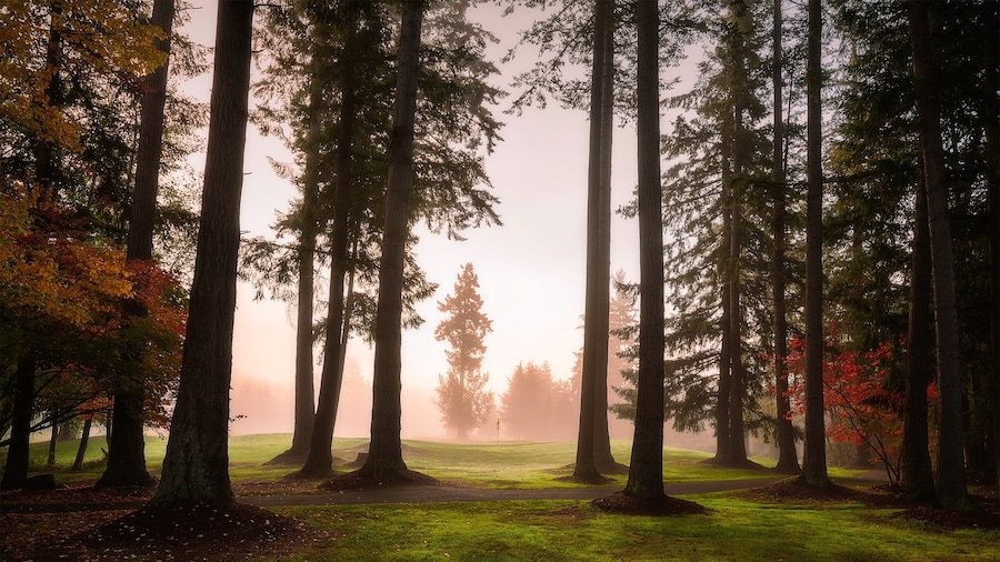 Caught some amazing light on my drive past the golf course, this place is GOURGEOUS!!! #GreatOutdoors