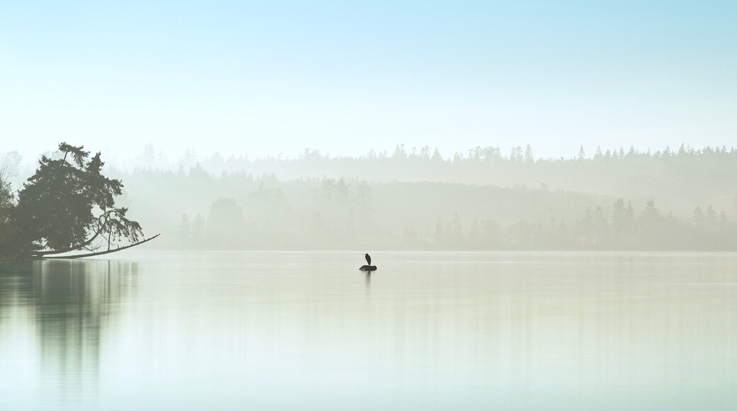 Got this on the way to Semiahmoo resort, this is a great area for sunsets #GreatOutdoors