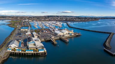 Aerial View of Blaine Public Pier and Marina, Blaine, Washington. Operated by the Port of Bellingham it offers exceptional access to views of Semiahmoo Spit, Mt Baker, and the local waterways.