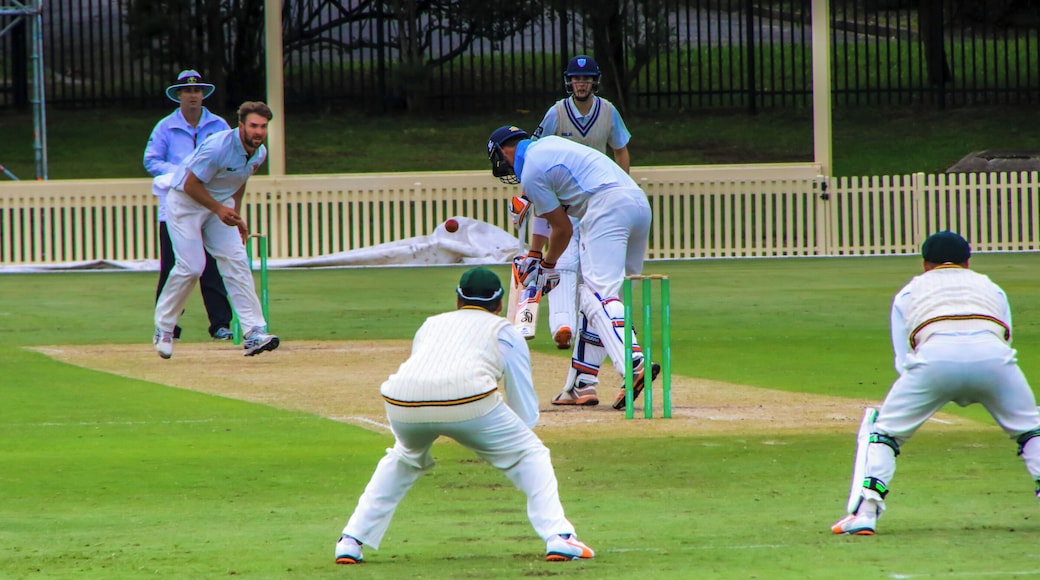 A classic small cricket ground in suburban Sydney. Well worth a visit when a game is on.