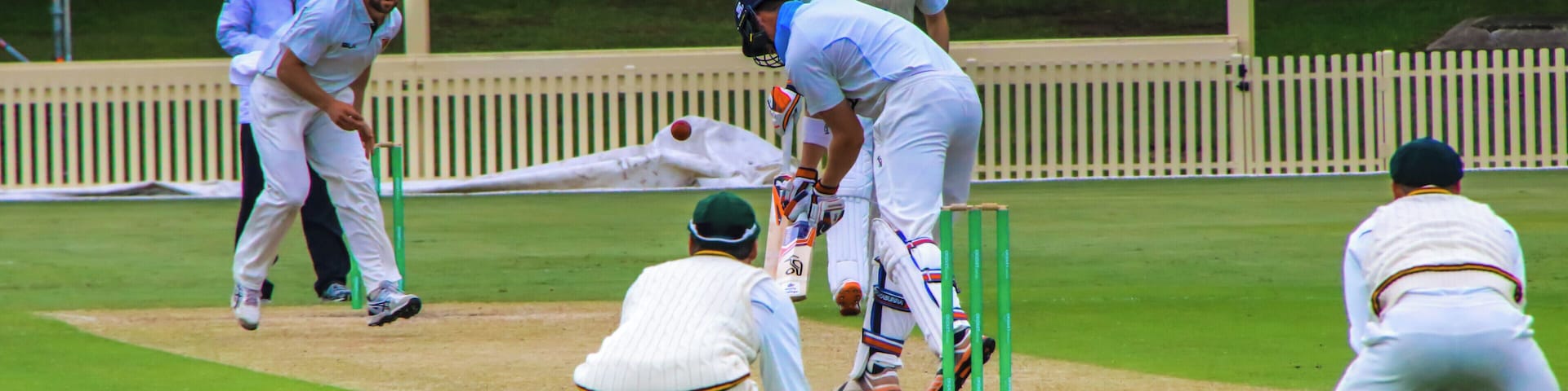 A classic small cricket ground in suburban Sydney. Well worth a visit when a game is on.