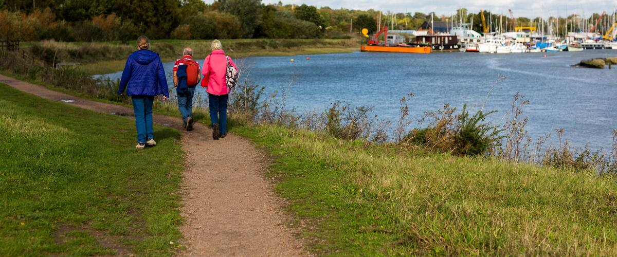 A pathway by a lake with boats and a dock in the background.