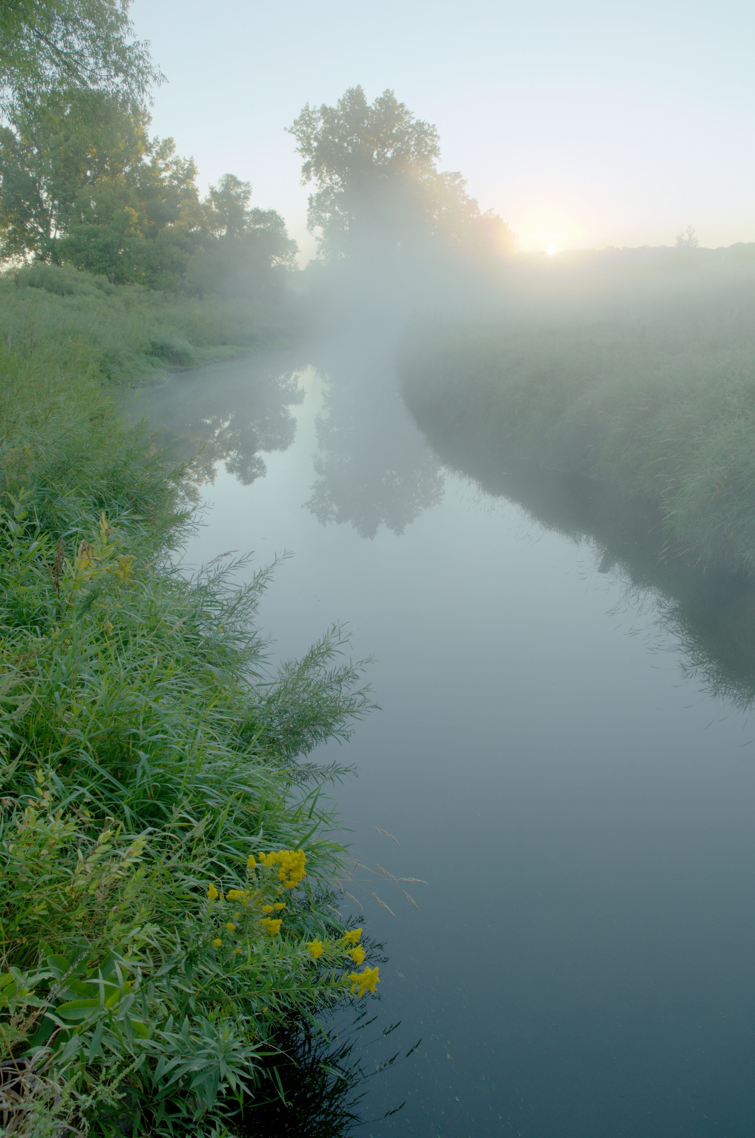 A calm river with dense greenery and yellow flowers along the banks.